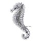 Sterling Silver Seahorse Pin