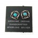 Southwestern Sterling Silver Earrings with Turquoise