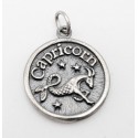 Zodiac Sterling Silver Charm or Pendant - Capricorn